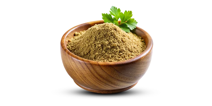 Spicy Coriander Chutney Powder